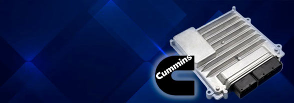 banner-img