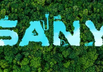 Cummins и Sany углубляют сотрудничество в области «зелёных» технологий