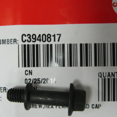 Болт (M6х1.00х25) C3940817 L