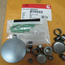 Заглушки ДВС 3802641