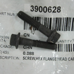 Болт крепления форсунки (M6х1.00х30) 3900628F ISBe