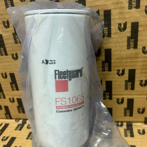 Фильтр топливный FS1065, 4934879, 87393392